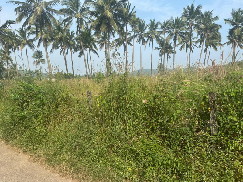  6 Acre Residential Plot for Sale in Kolazhy, Thrissur
