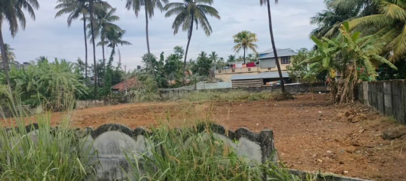  7 Cent Residential Plot for Sale in West Fort, Thrissur
