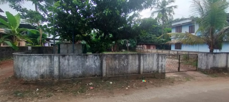  10 Cent Residential Plot for Sale in Kuttoor, Thrissur