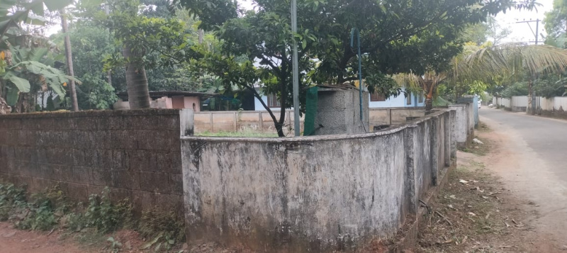  10 Cent Residential Plot for Sale in Kuttoor, Thrissur