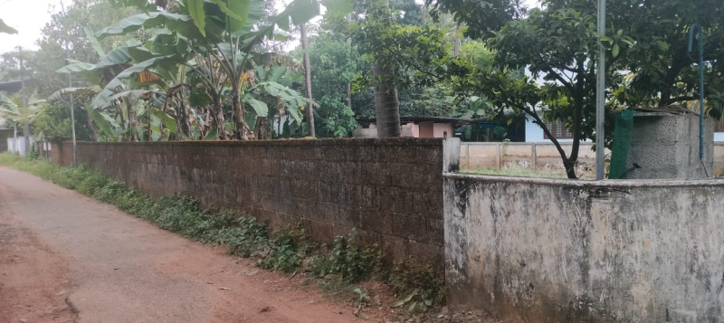  10 Cent Residential Plot for Sale in Kuttoor, Thrissur