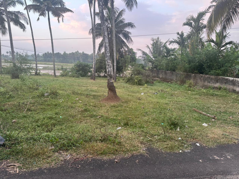  10 Cent Residential Plot for Sale in Olari, Thrissur