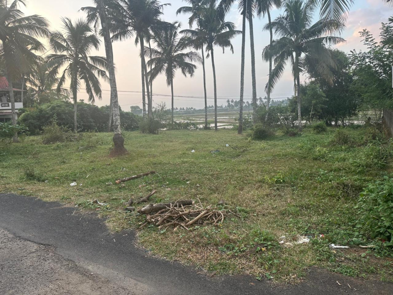  10 Cent Residential Plot for Sale in Olari, Thrissur