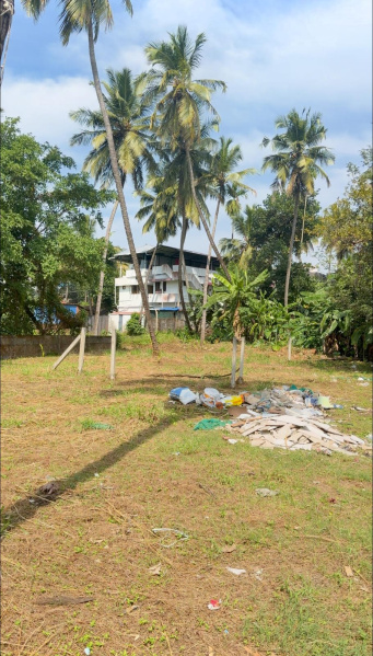  20 Cent Residential Plot for Sale in Kanattukara, Thrissur