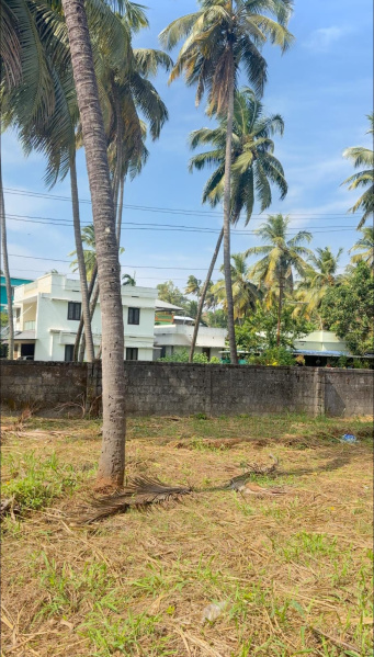  20 Cent Residential Plot for Sale in Kanattukara, Thrissur
