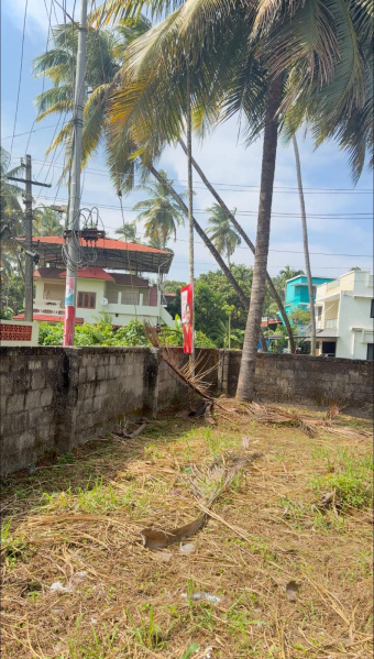  20 Cent Residential Plot for Sale in Kanattukara, Thrissur