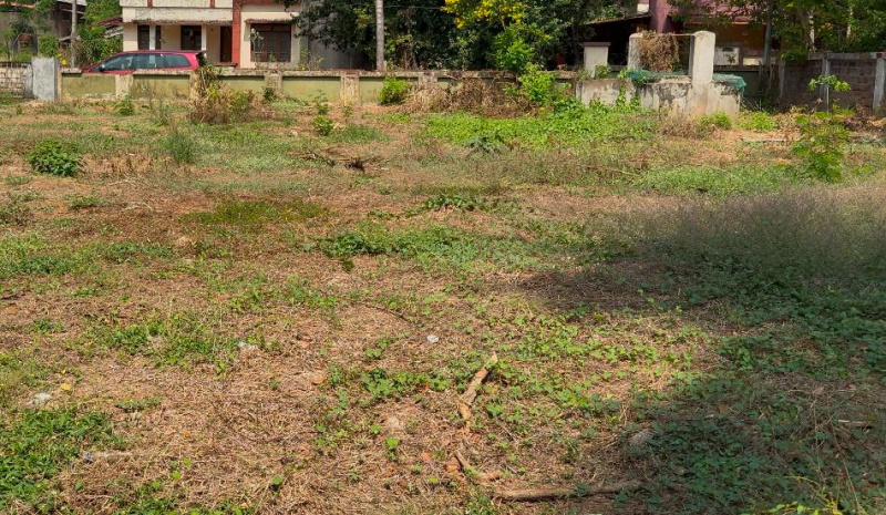  18 Cent Residential Plot for Sale in Kuriachira, Thrissur