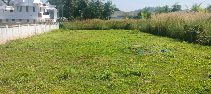  10 Cent Residential Plot for Sale in Mannuthy, Thrissur
