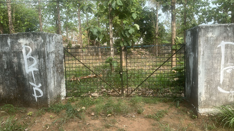 18 Cent Residential Plot for Sale in Nadathara, Thrissur
