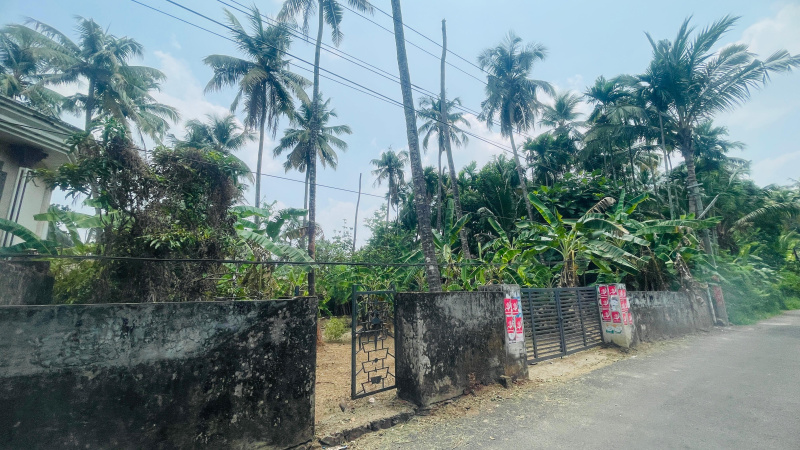  17 Cent Residential Plot for Sale in Chiyyaram, Thrissur