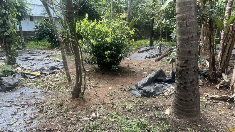  10 Cent Residential Plot for Sale in Kuttanellur, Thrissur