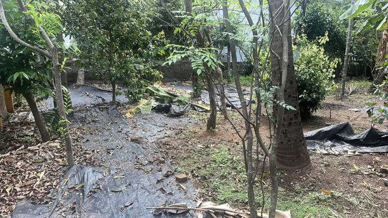  10 Cent Residential Plot for Sale in Kuttanellur, Thrissur