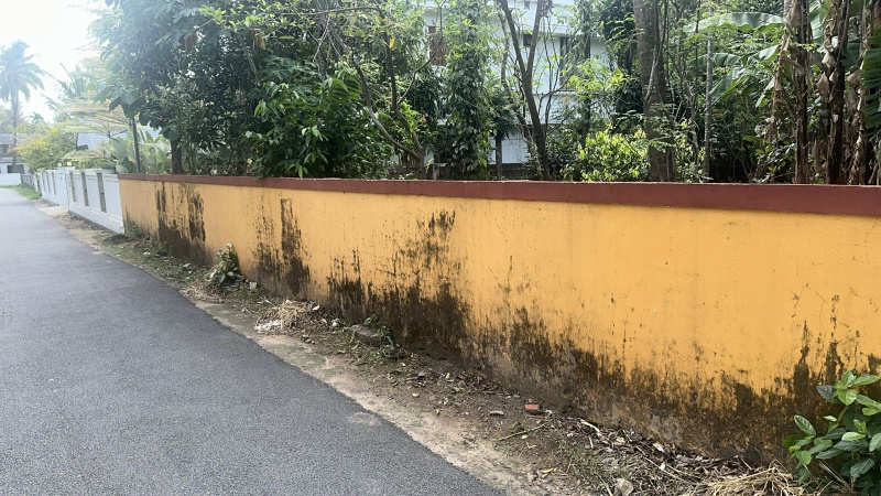  10 Cent Residential Plot for Sale in Kuttanellur, Thrissur