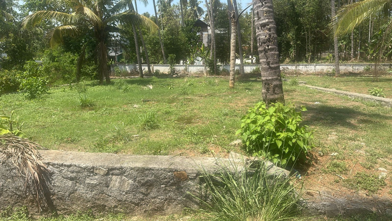  9 Cent Residential Plot for Sale in Aranattukara, Thrissur