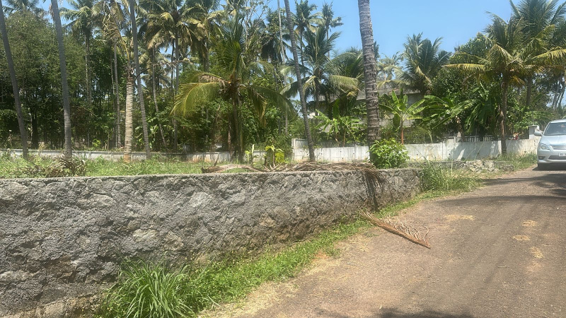  9 Cent Residential Plot for Sale in Aranattukara, Thrissur