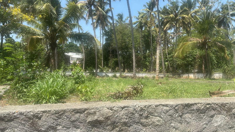  9 Cent Residential Plot for Sale in Aranattukara, Thrissur