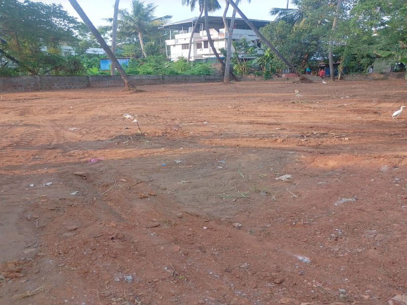  8 Cent Residential Plot for Sale in Ayyanthole, Thrissur