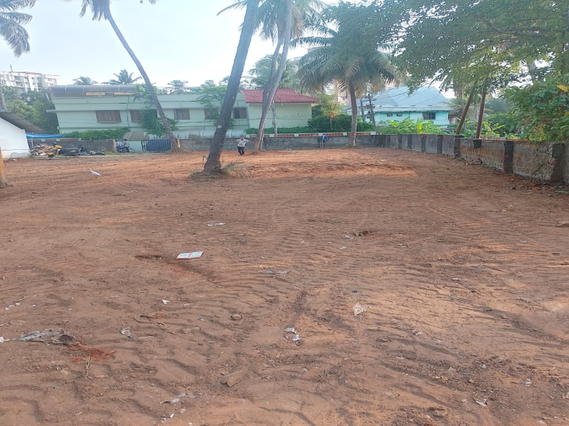  8 Cent Residential Plot for Sale in Ayyanthole, Thrissur