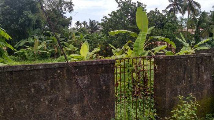 Residential Plot 15 Cent for Sale in Kanimangalam, Thrissur