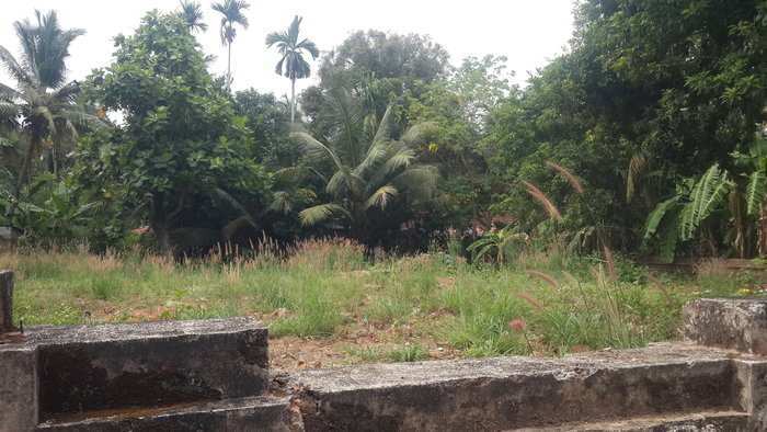 Residential Plot 10 Cent for Sale in Pottore, Thrissur