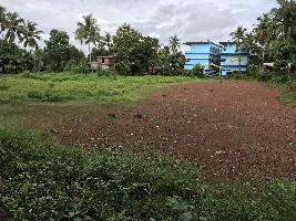  Residential Plot for Sale in Thenhipalam, Malappuram