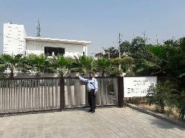 4 BHK House for Sale in Verka Milk Plant, Jalandhar