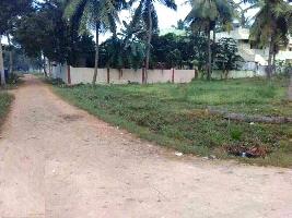  Residential Plot for Sale in Tanuku, West Godavari