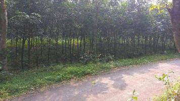  Residential Plot for Sale in Thrippunithura, Kochi