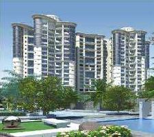 2 BHK Flat for Rent in Chandivali, Powai, Mumbai