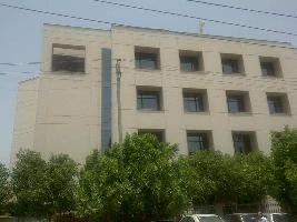  Factory for Rent in Okhla Industrial Area Phase III, Delhi