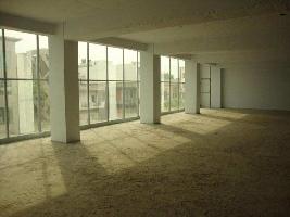  Office Space for Rent in Phase V Udyog Vihar, Gurgaon