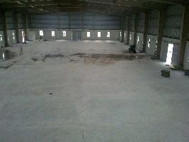  Warehouse for Rent in Alipur, Delhi