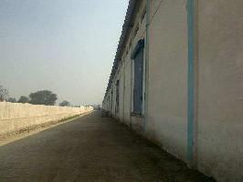  Warehouse for Rent in Samalkha, Panipat