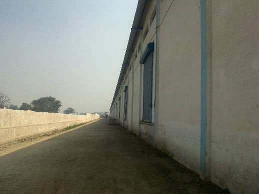 Warehouse 40880 Sq.ft. for Rent in Samalkha, Panipat