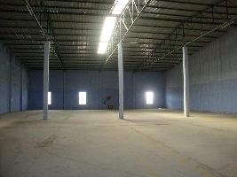  Warehouse for Rent in Pataudi Road, Gurgaon