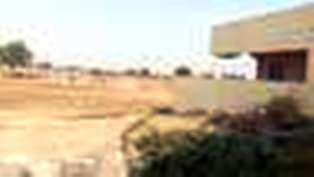  Agricultural Land for Sale in Damarapalli, Guntur