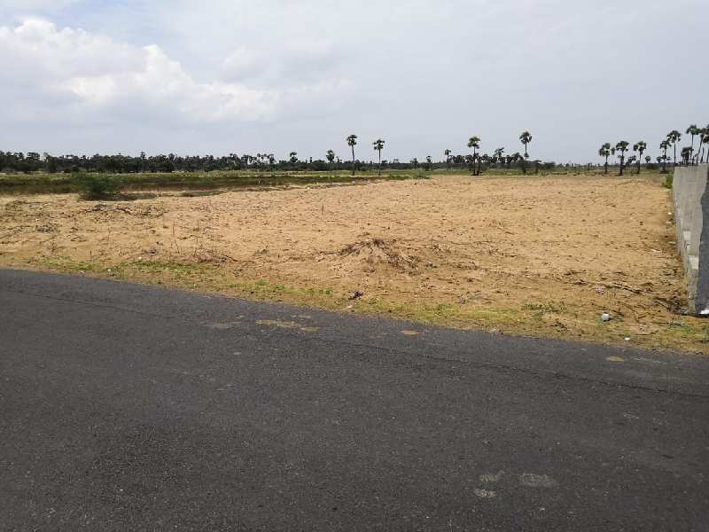 Agricultural Land 50 Cent for Sale in Bapatla, Guntur (REI604306)