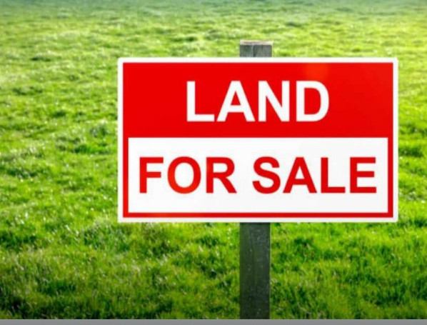  60 Cent Commercial Land for Sale in Thirunagar, Madurai