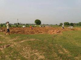  Residential Plot for Sale in Phase Ii, Dugri, Ludhiana