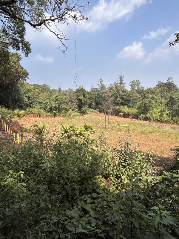  Agricultural Land 30 Guntha for Sale in Gaganbawada, Kolhapur