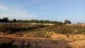  Residential Plot for Sale in Chikkaballapur, Bangalore