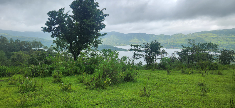  Agricultural Land 10000 Sq.ft. for Sale in Velhe, Pune