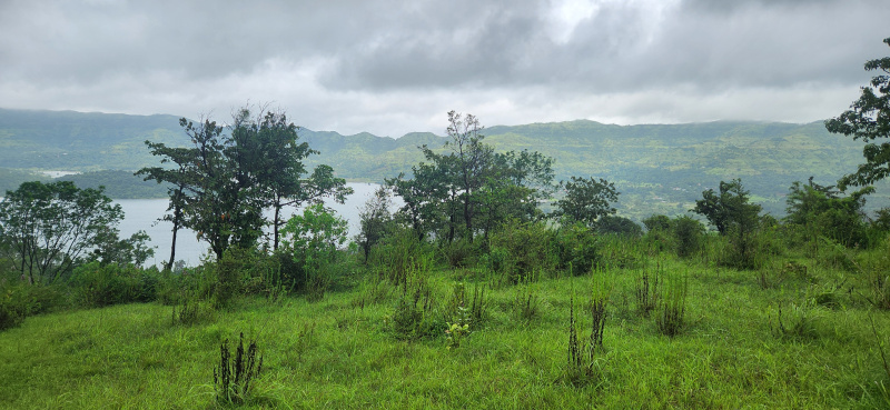  Residential Plot 10000 Sq.ft. for Sale in Kamshet, Pune