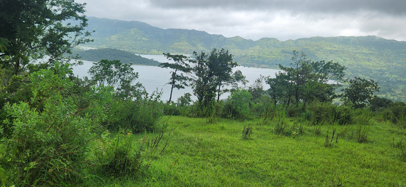  Residential Plot 10000 Sq.ft. for Sale in Kamshet, Pune