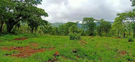  Agricultural Land for Sale in Panshet, Pune