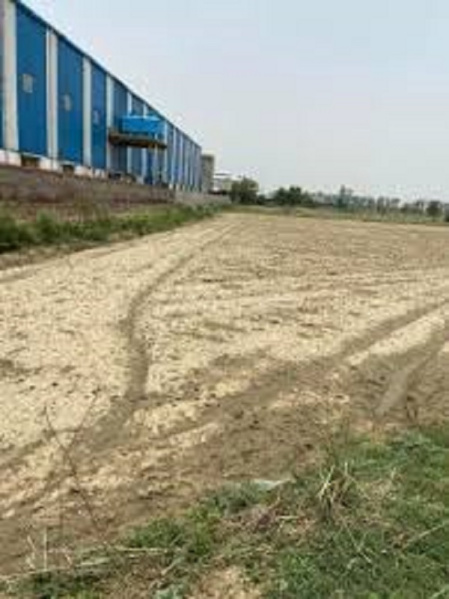  Industrial Land 6050 Sq.ft. for Sale in Khuskhera Industrial Area, Bhiwadi