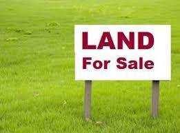  Agricultural Land for Sale in Rahon, Nawanshahr