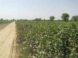  Factory for Sale in Focal Point, Ludhiana