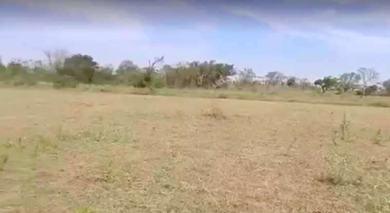  Agricultural Land 1 Acre for Sale in Malavalli, Mandya