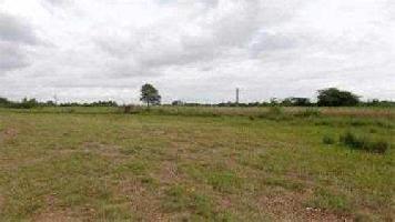  Agricultural Land for Sale in Bidhnu, Kanpur